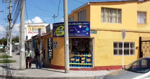 ARTE EN MOTAS Y PALITOS ARTE EN MOTAS Y PALITOS